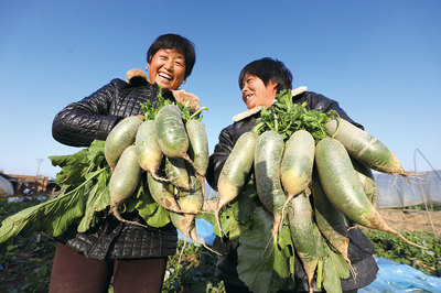 产品质量调查