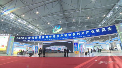 搭建产业交流平台 发展 捡回来的另一半农业