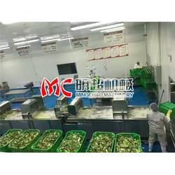 菜花清洗机生产厂家 淮北菜花清洗机 服务优 多图