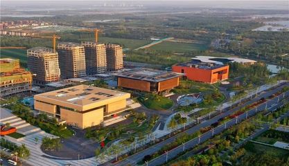 观察|济宁美术馆:橘生淮北