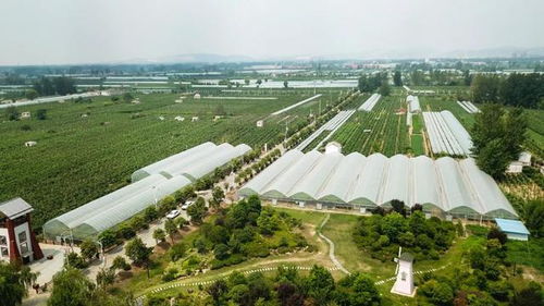 成片开发 淮北将新建一小镇
