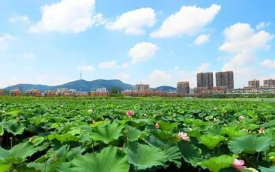 安徽省淮北市采煤沉陷区综合治理助推“矿山城市”向“公园城市”转变