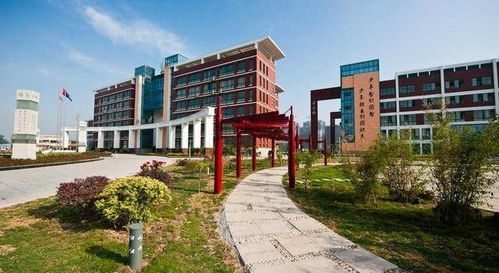 安徽淮北市这7所高中,高考表现不俗,其中还有两所私立学校